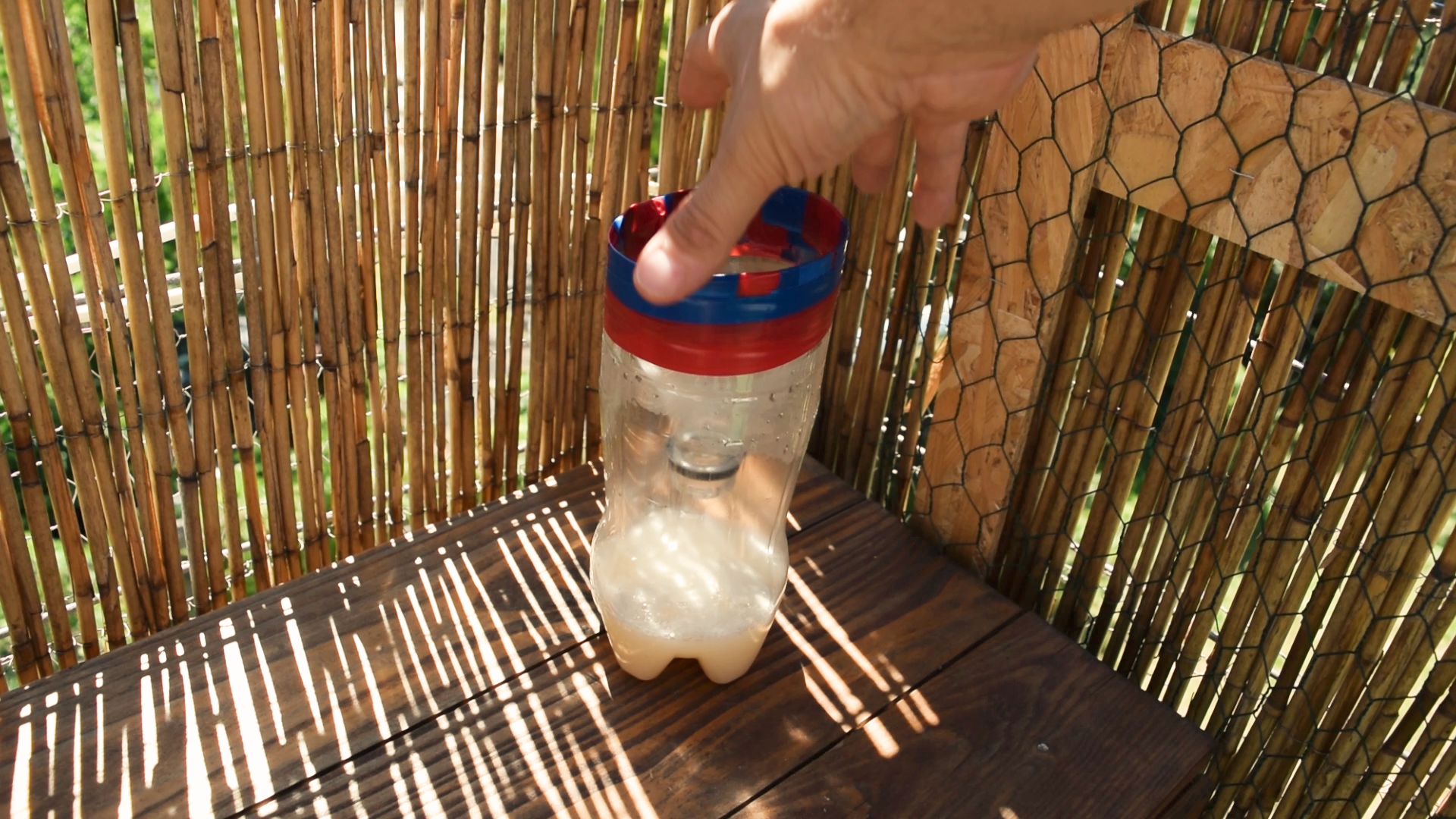 DIY Mosquito Trap_freeze13.bmp