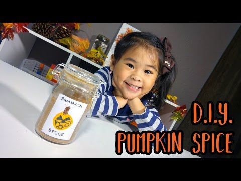 DIY Pumpkin Spice Recipe | How To Make Homemade Pumpkin Spice