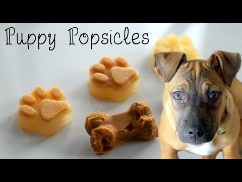 DIY Puppy Popsicles and Summer Treats! // How to make grain-free Kong dog treats and dog popsicles