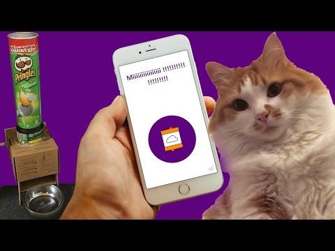 DIY Smart Automatic Pet Feeder - littleBits for cat