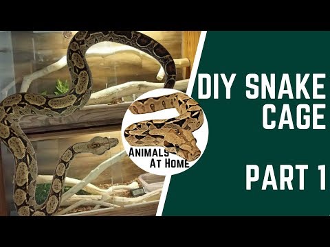 DIY Snake Cage: Part 1