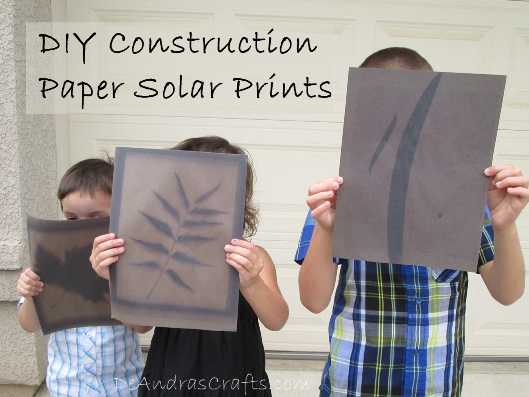 DIY Solar Prints.jpg