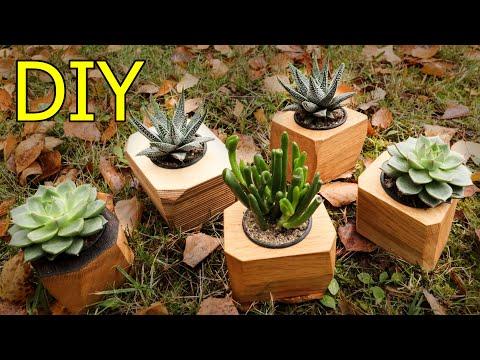 DIY Succulent Planter