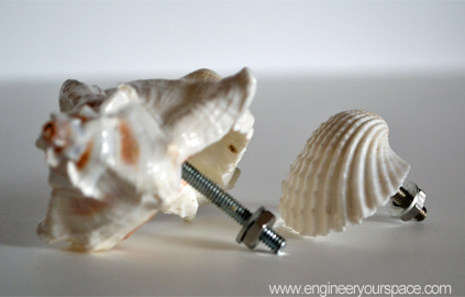 DIY decorative shells dresser knobs -2.jpg