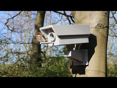 DIY fake dummy security camera birdhouse made from scrap wood