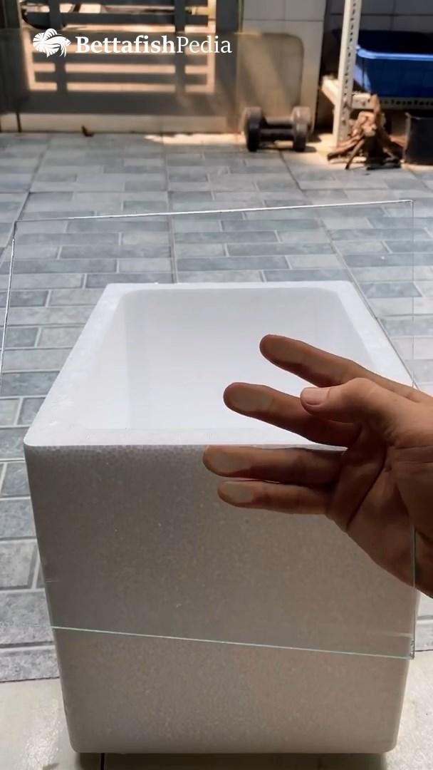 DIY fish tank.mp4_snapshot_00.00_[2023.05.14_23.51.17].jpg