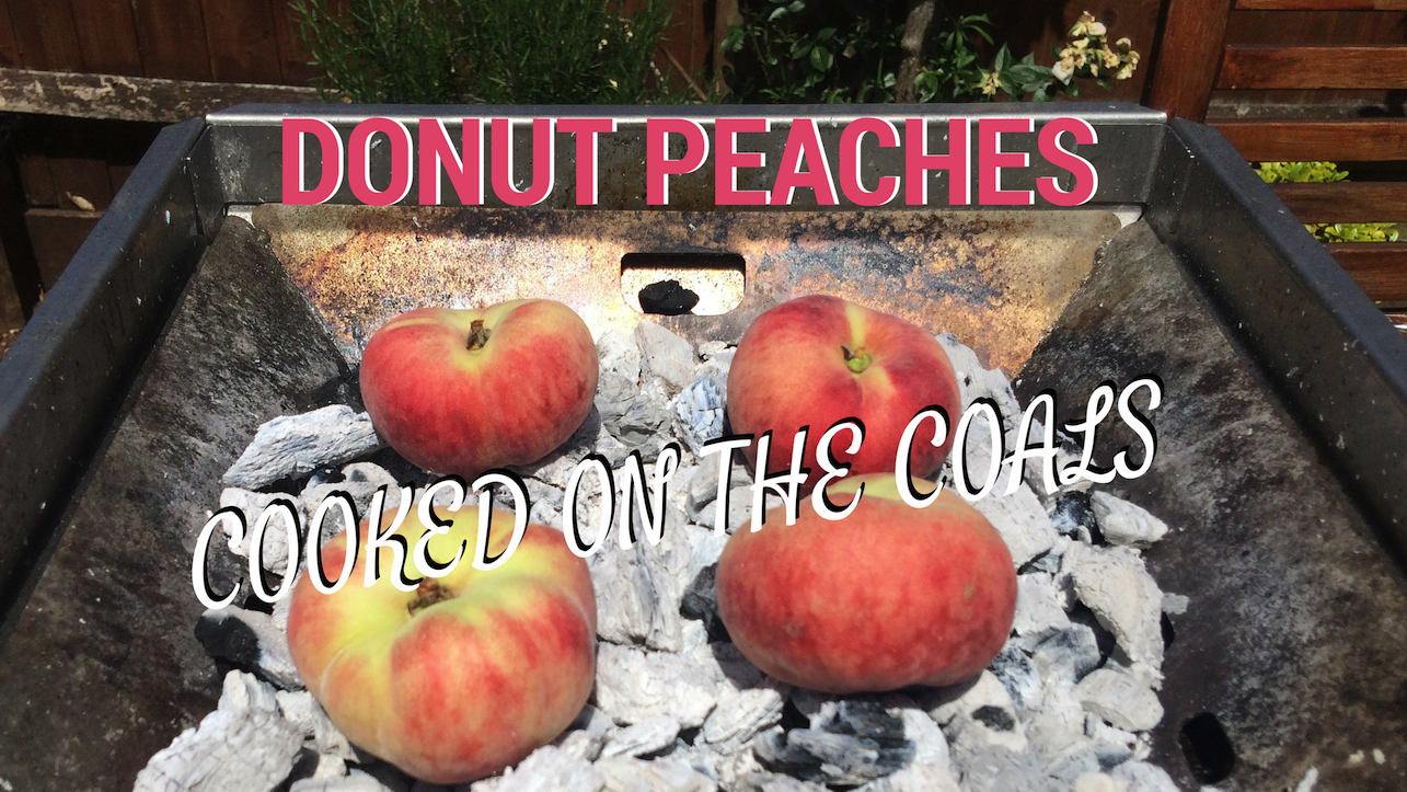 DONUT PEACHES.png