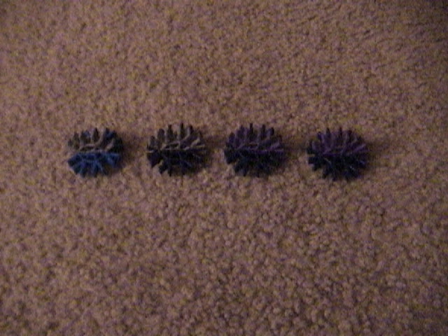 DSC00002.JPG