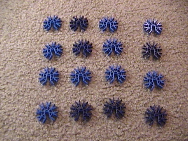 DSC00007.JPG