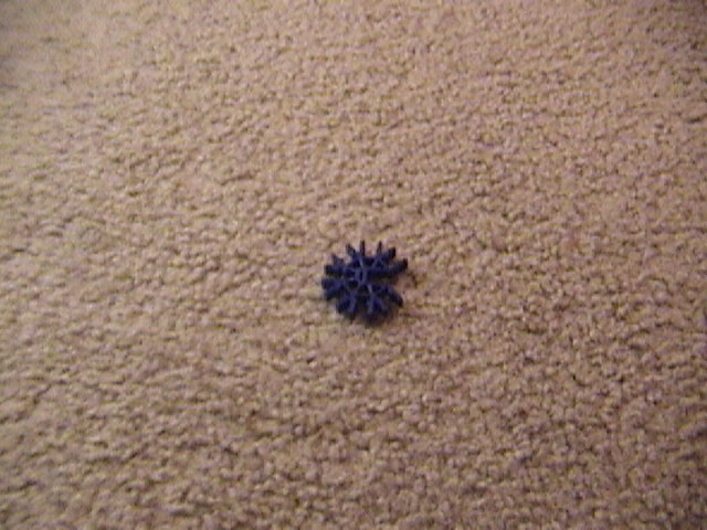 DSC00013.JPG