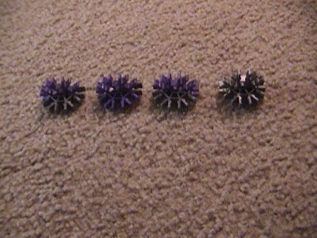 DSC00028.JPG