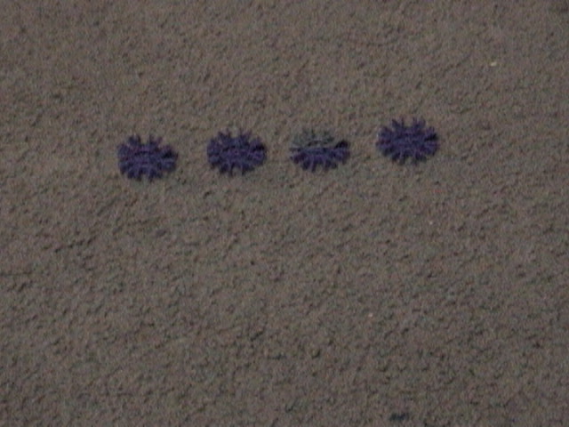 DSC00032.JPG