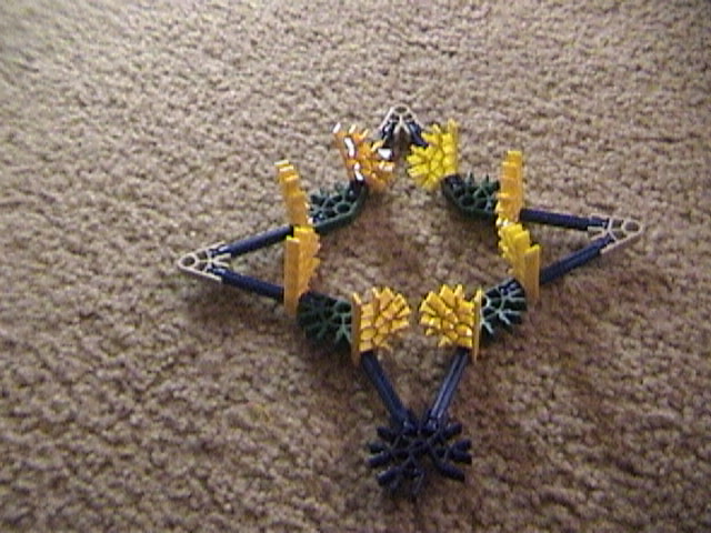 DSC00037.JPG
