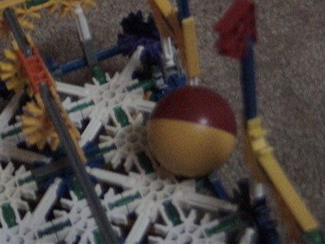 DSC00043.JPG