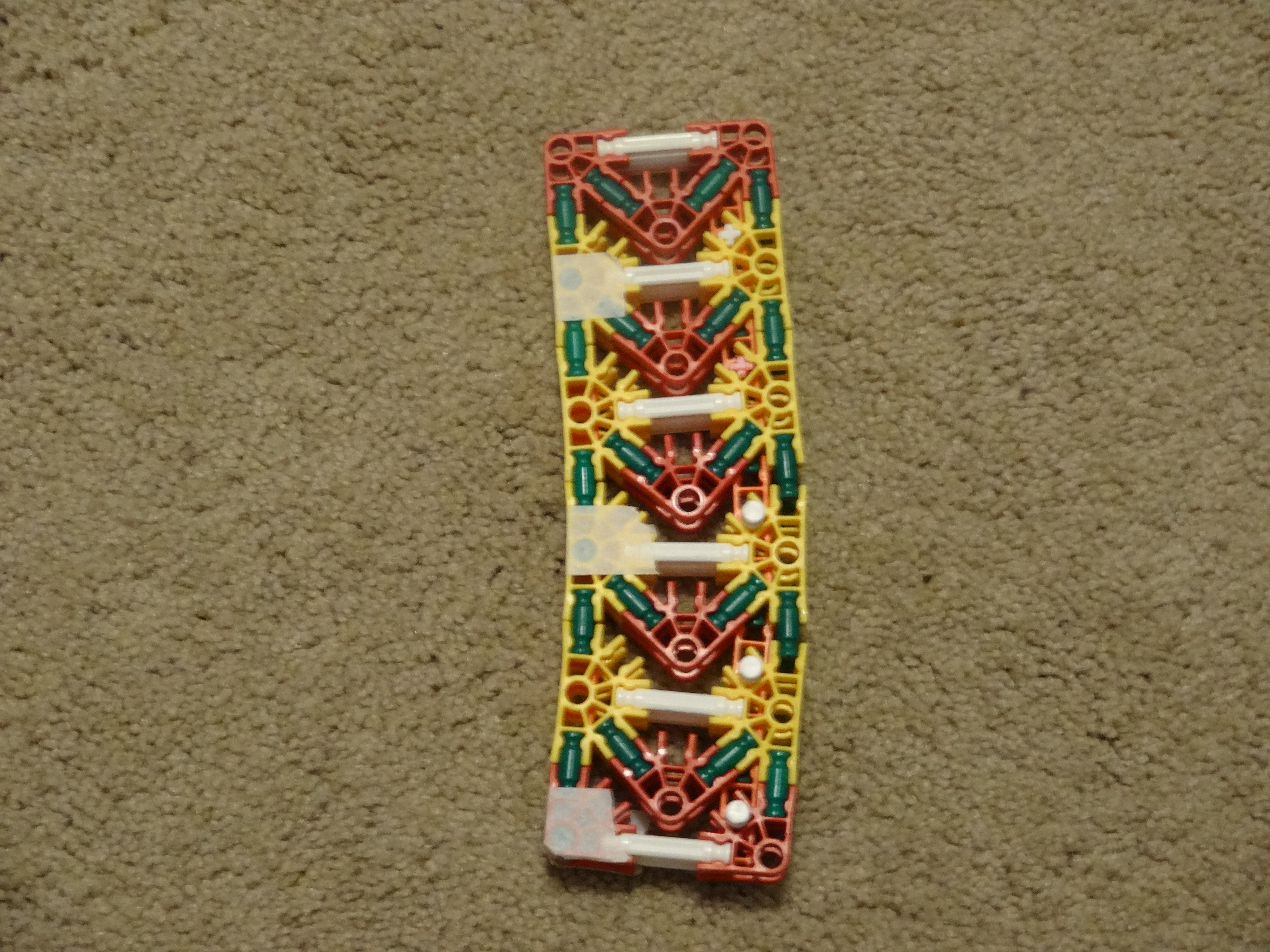 DSC00196.JPG