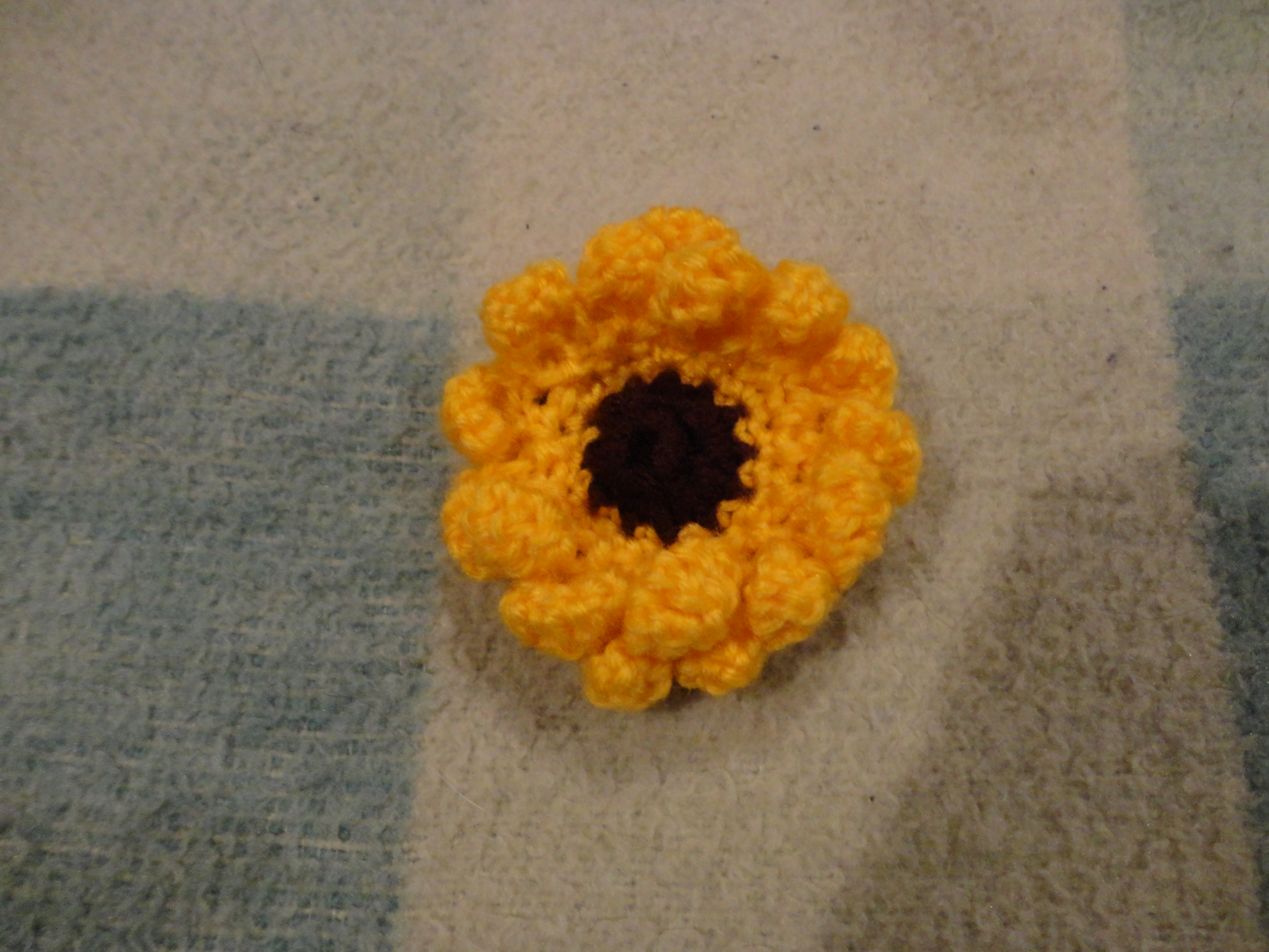 DSC00346.JPG