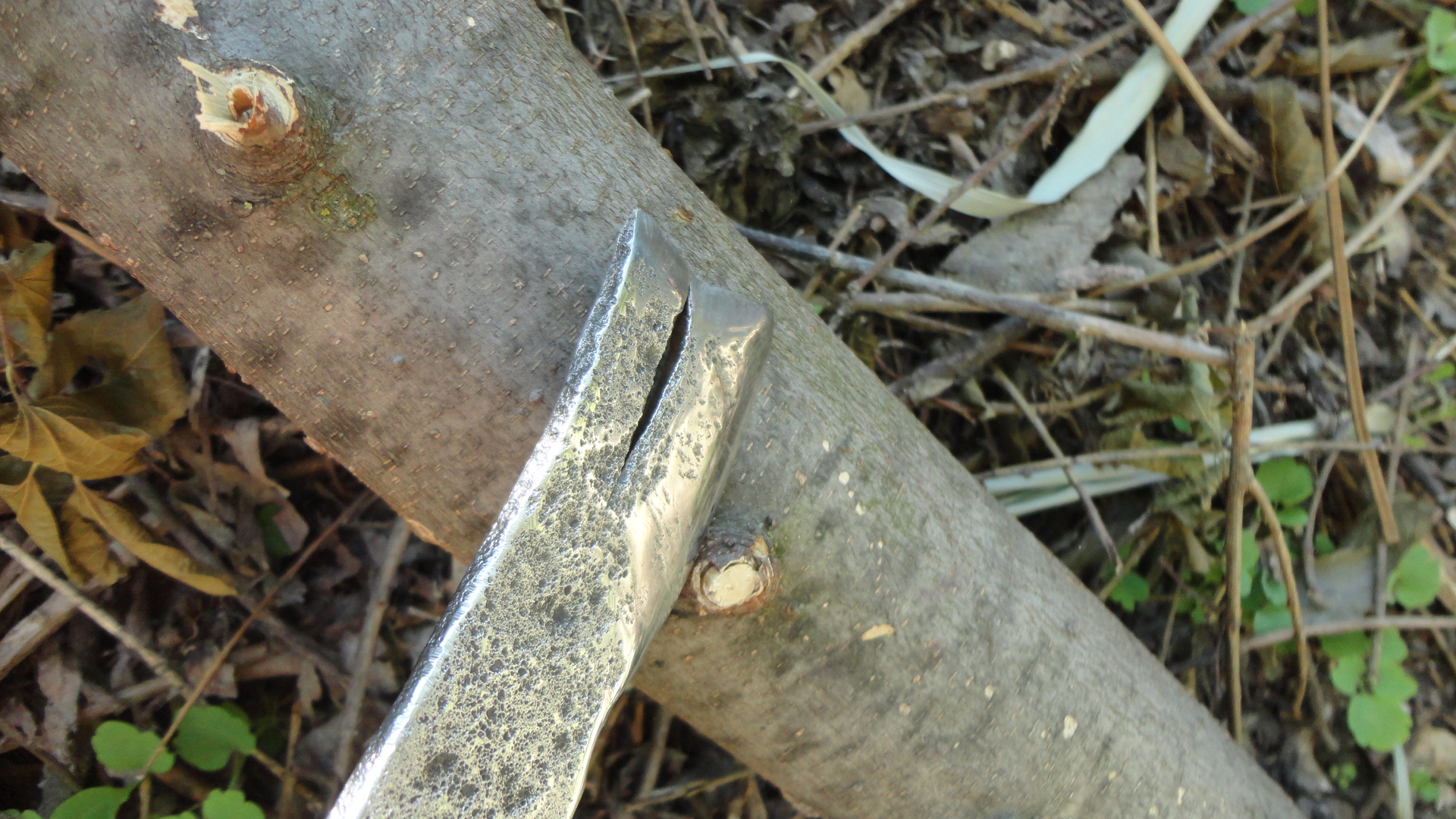 DSC00857.JPG