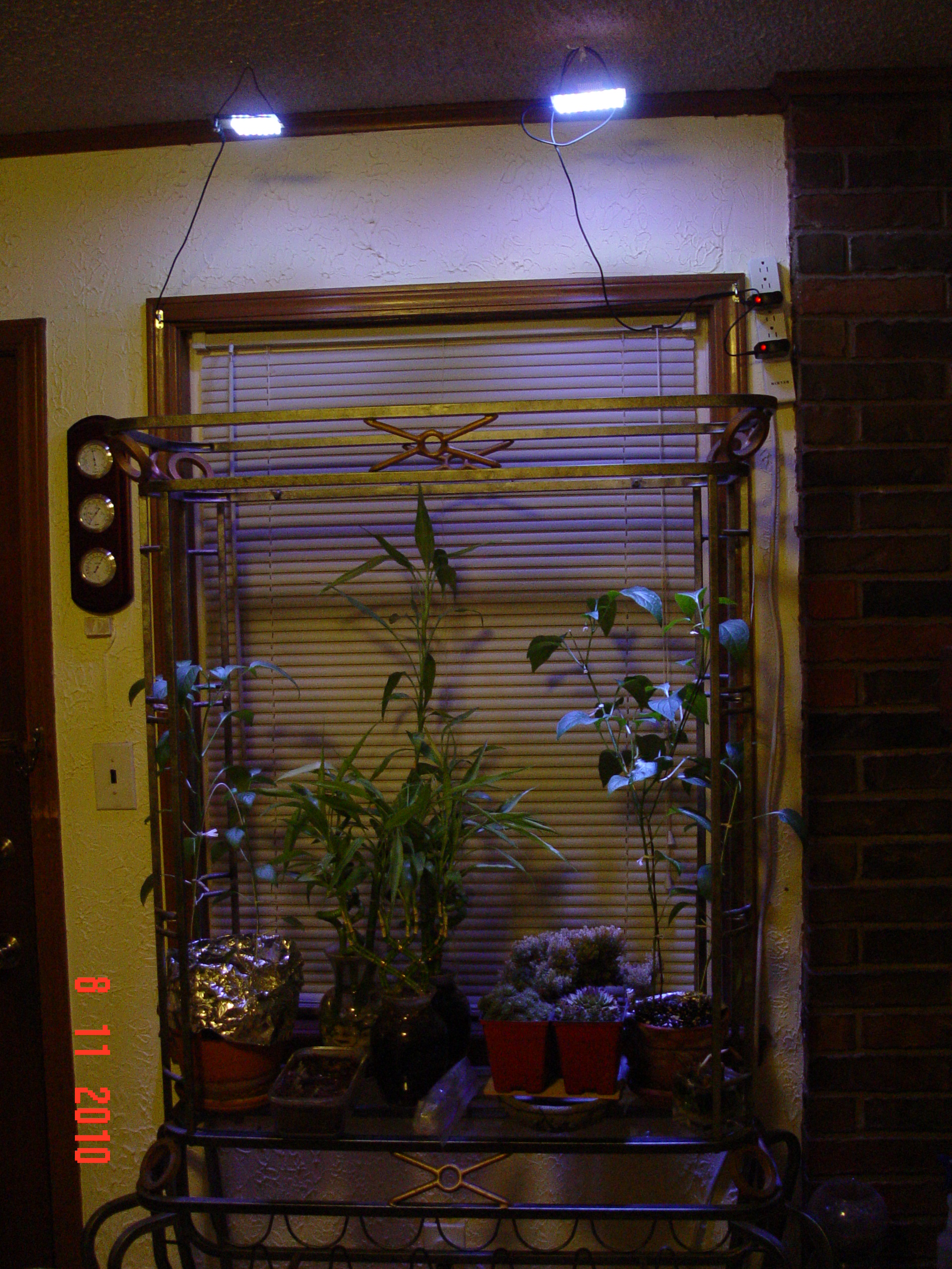 DSC00866.JPG