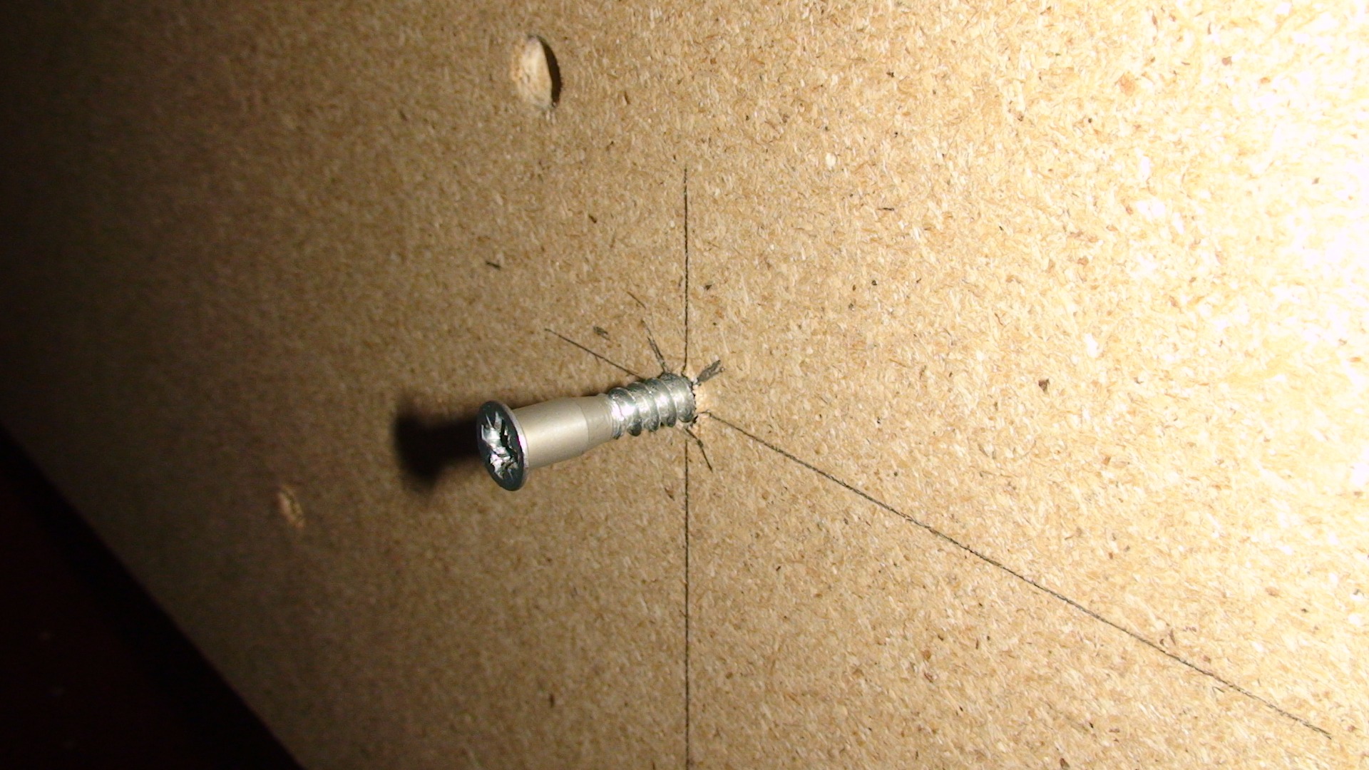 DSC01732.JPG