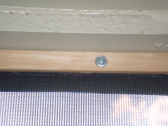 DSC01777.JPG