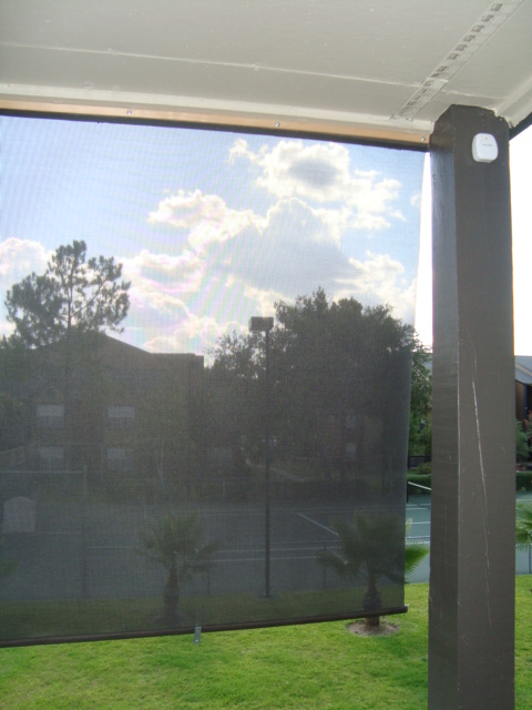 DSC01778.JPG