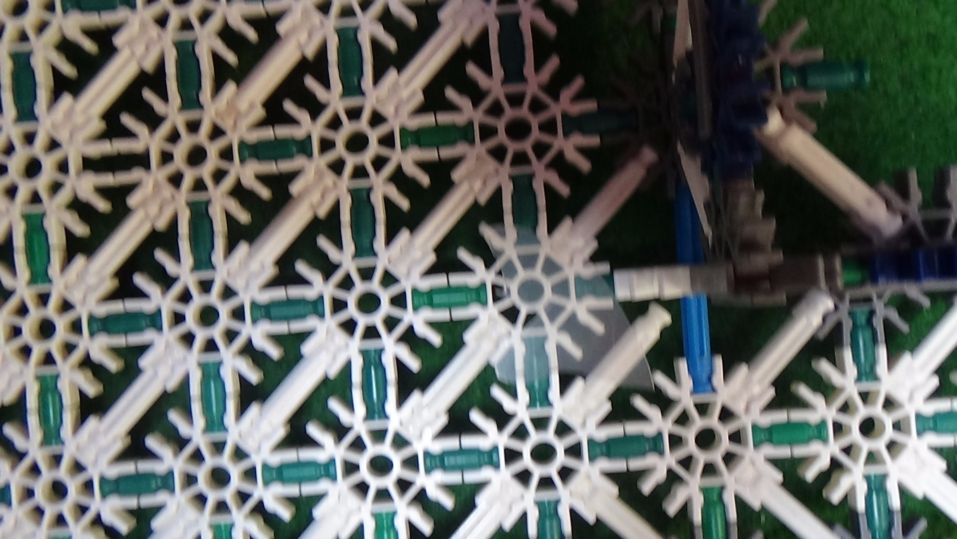 DSC01876.JPG