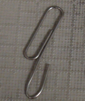 DSC02004.JPG