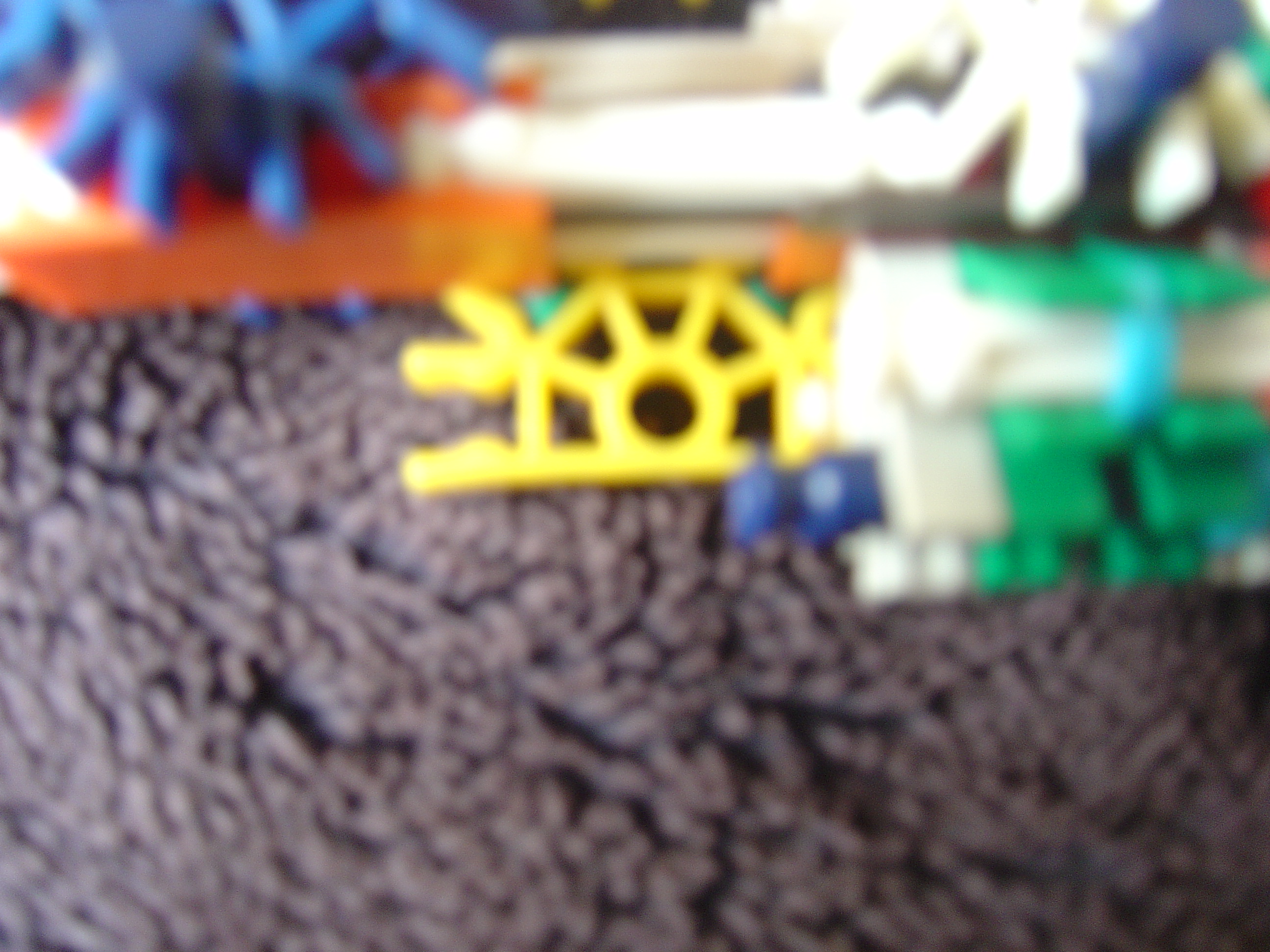 DSC02345.JPG