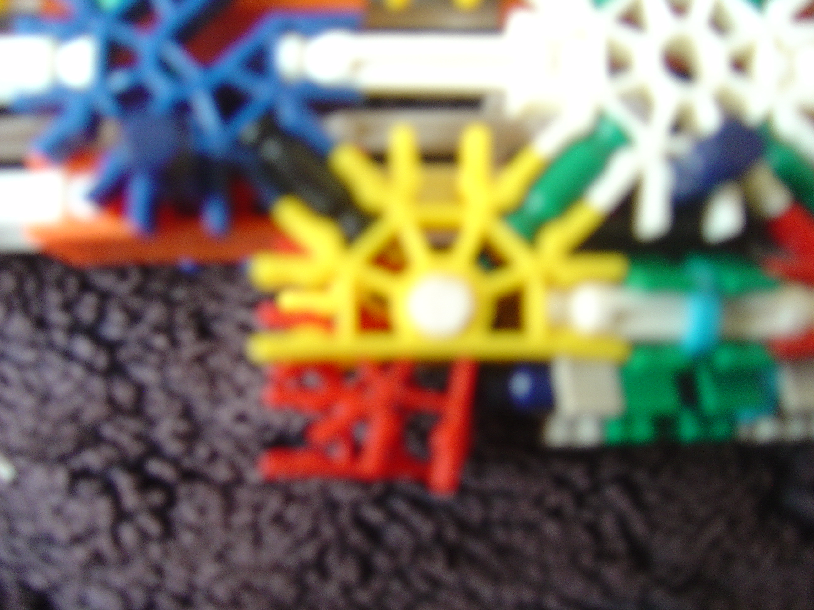 DSC02347.JPG
