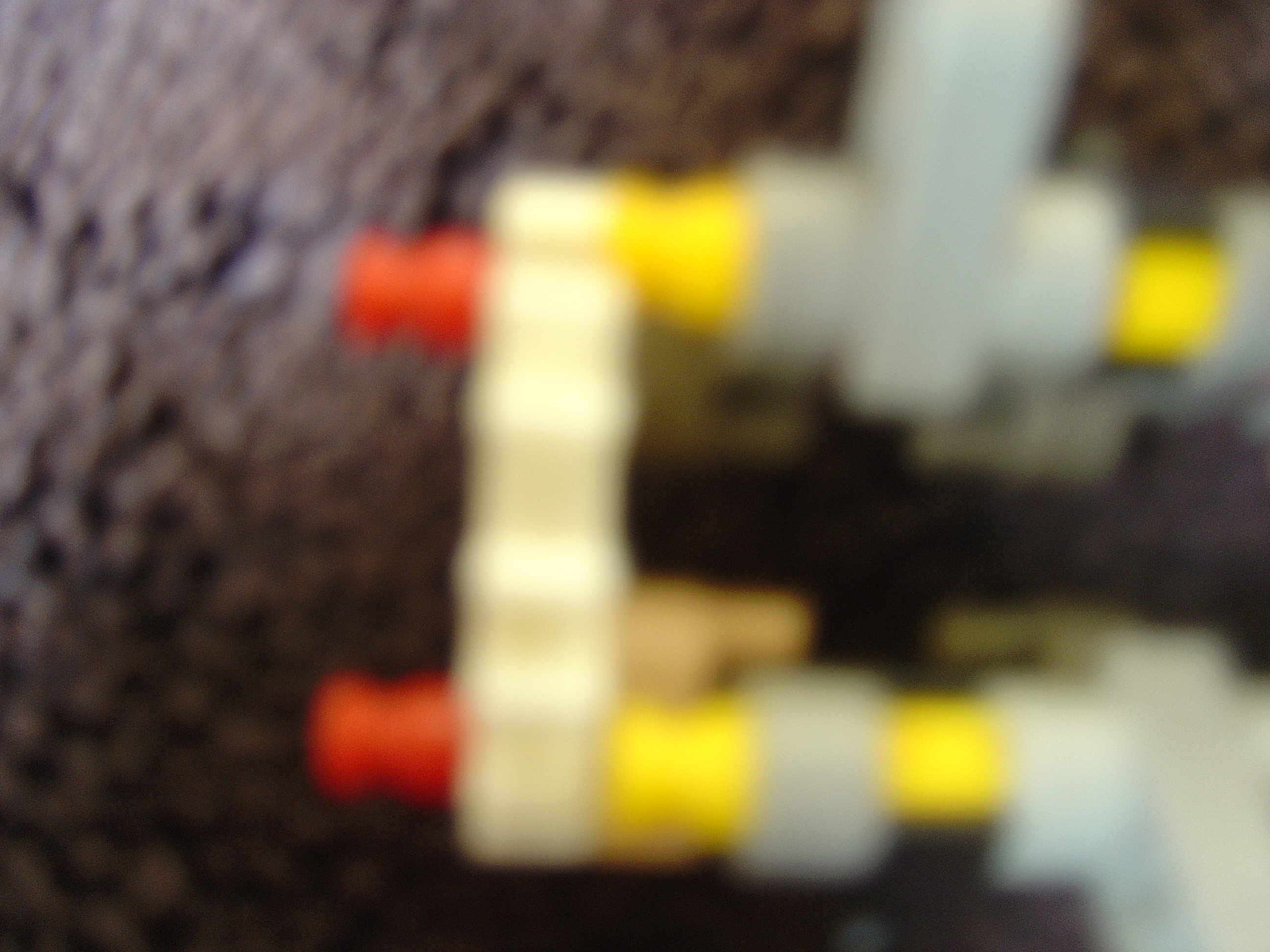 DSC02387.JPG