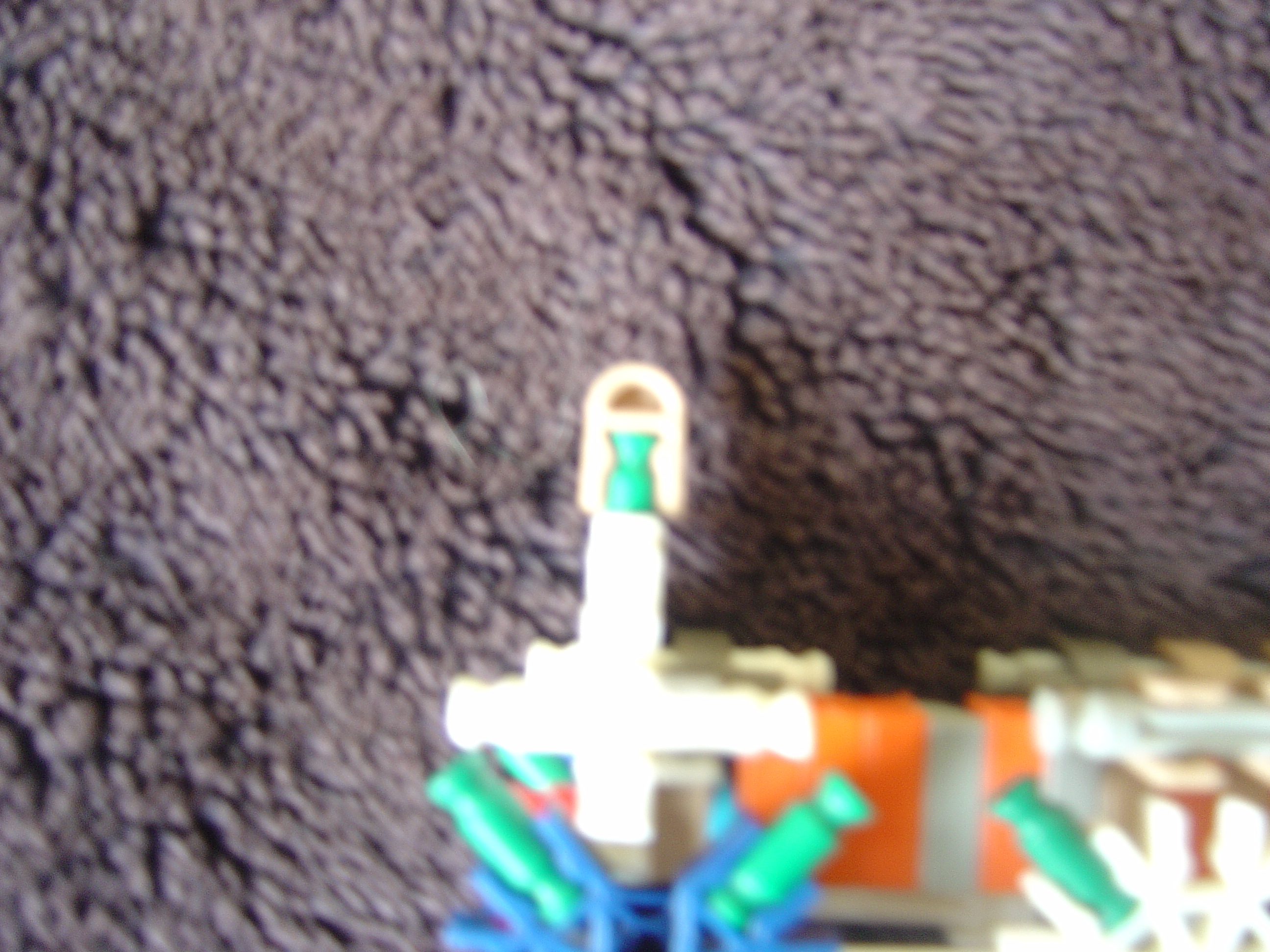 DSC02390.JPG