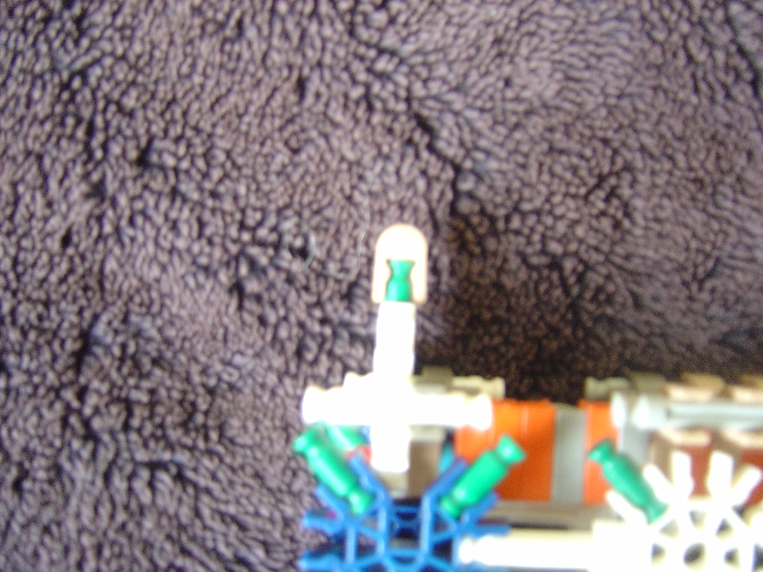 DSC02391.JPG