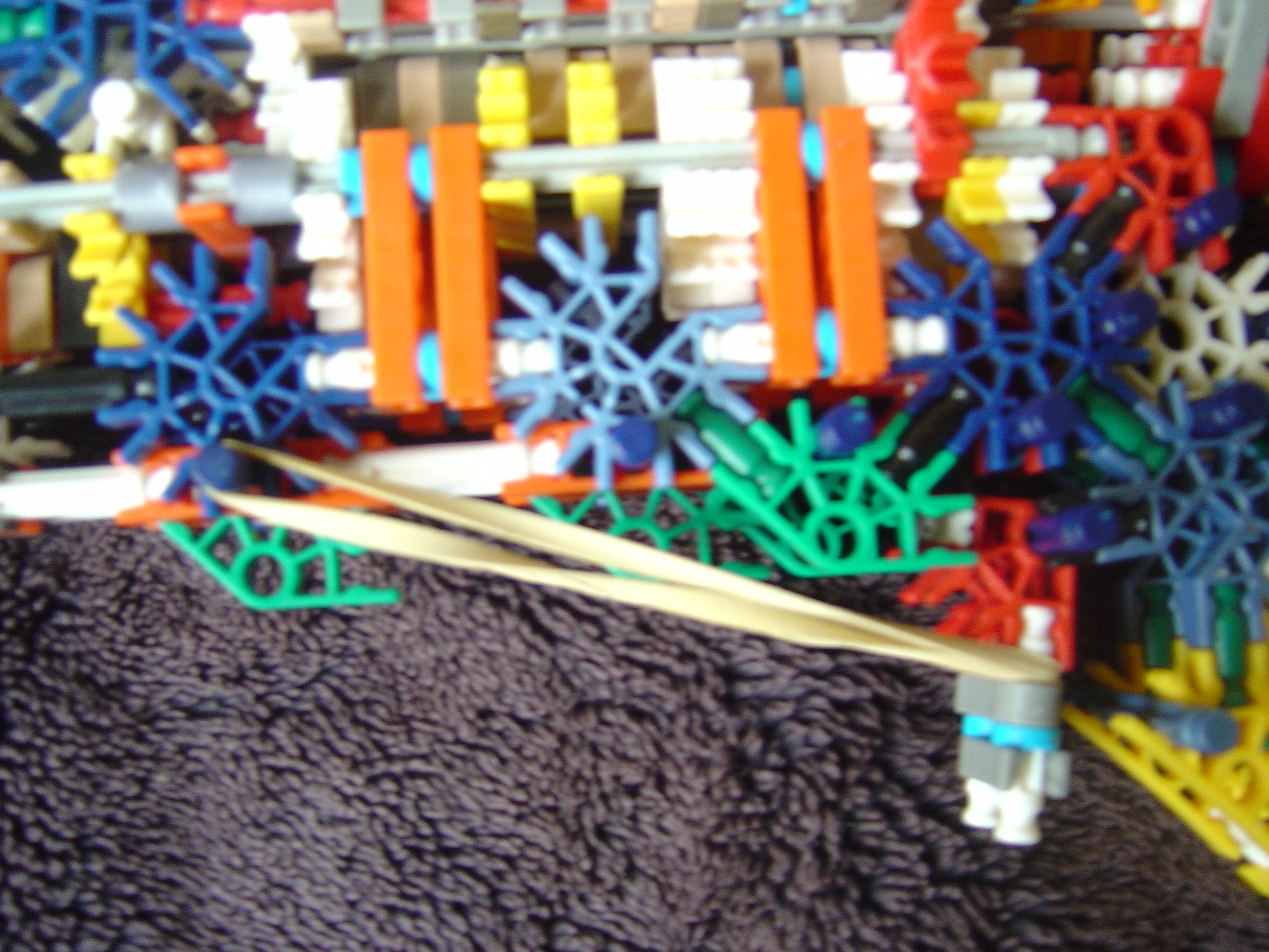 DSC02415.JPG