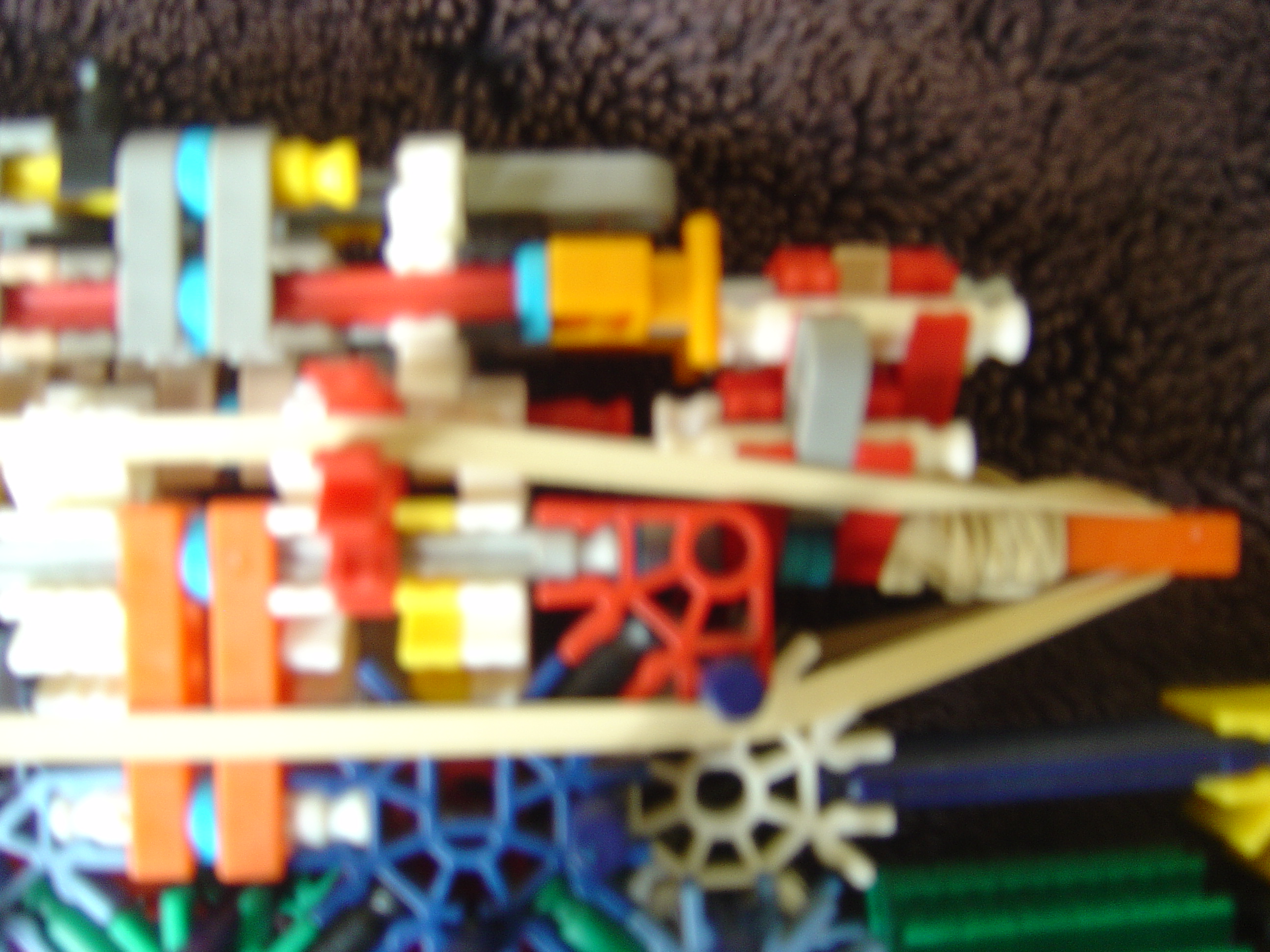 DSC02417.JPG