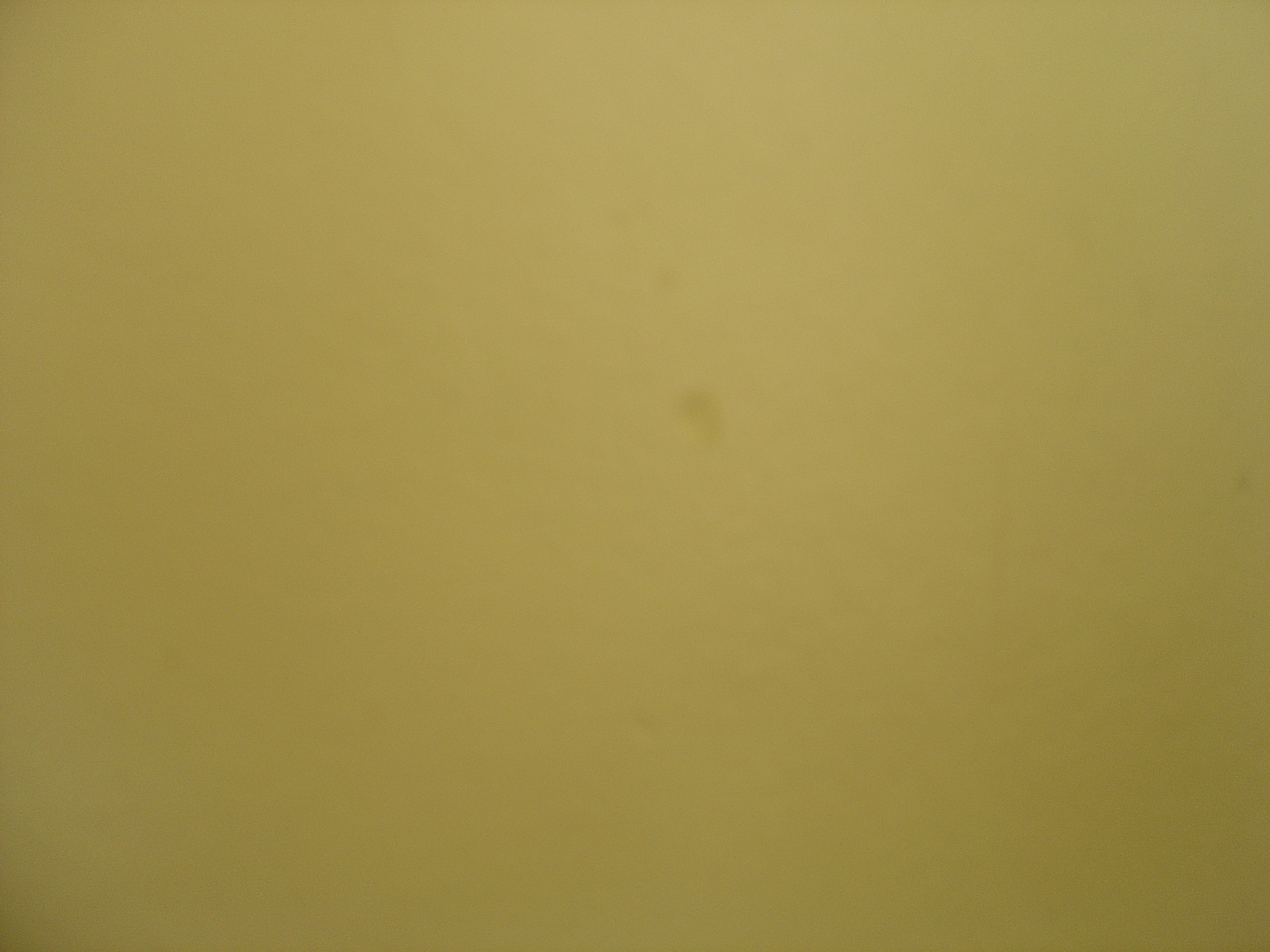 DSC02455.JPG