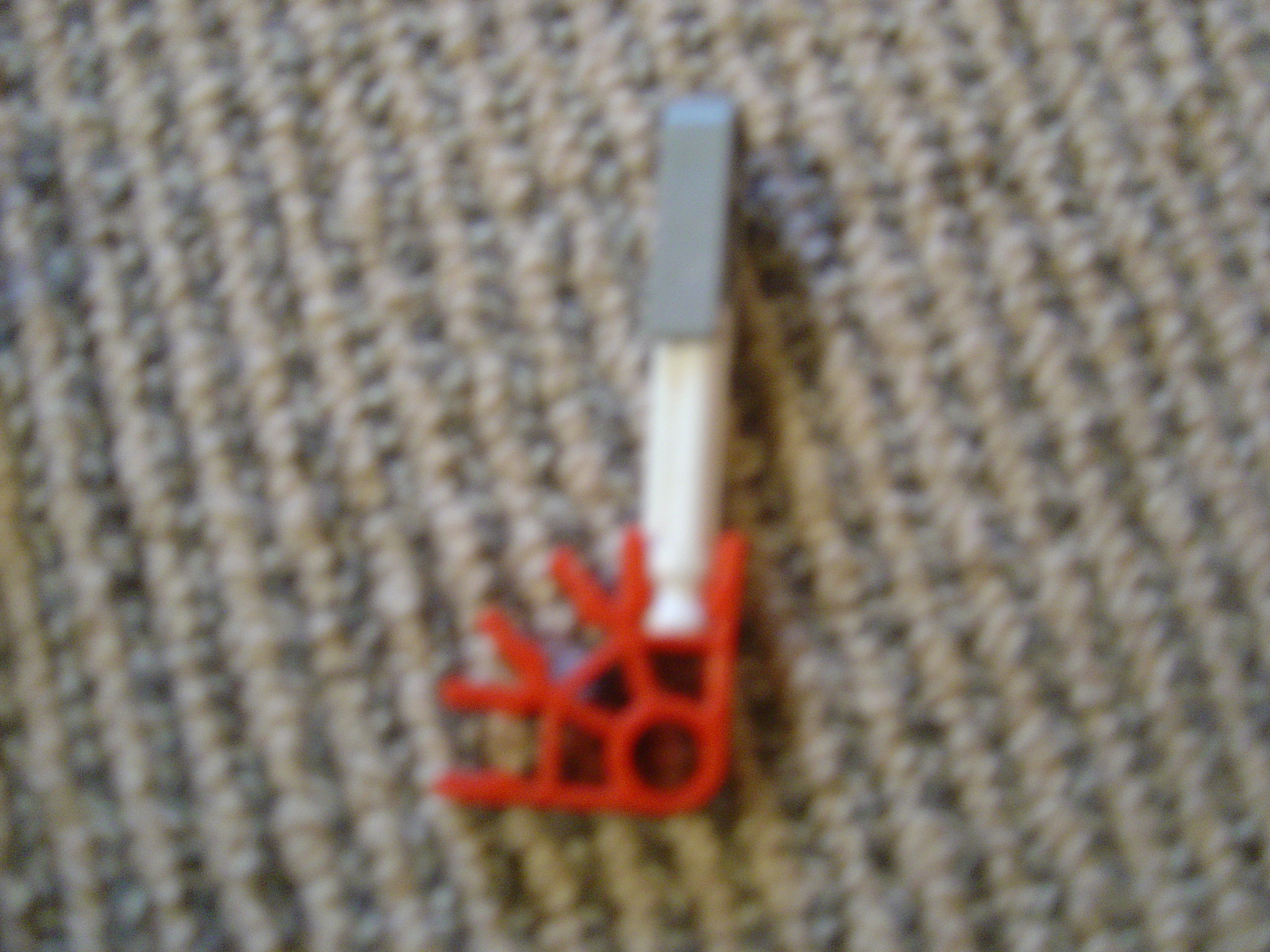 DSC02517.JPG