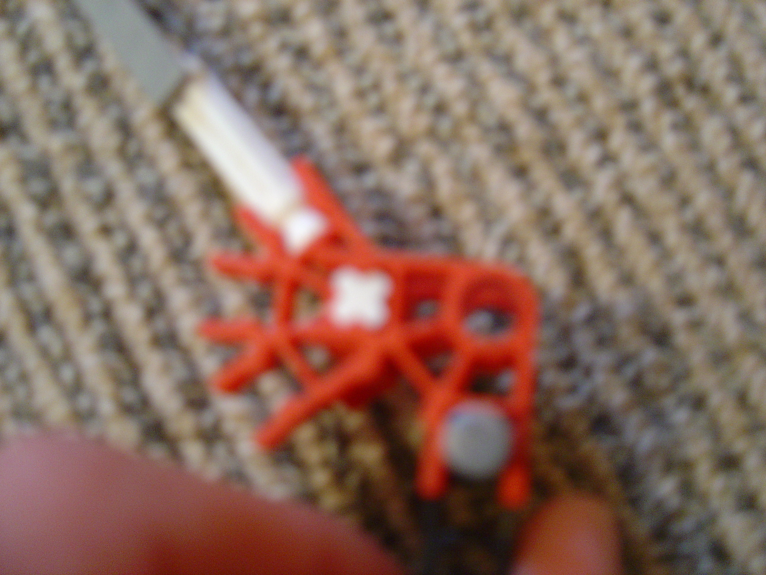 DSC02518.JPG