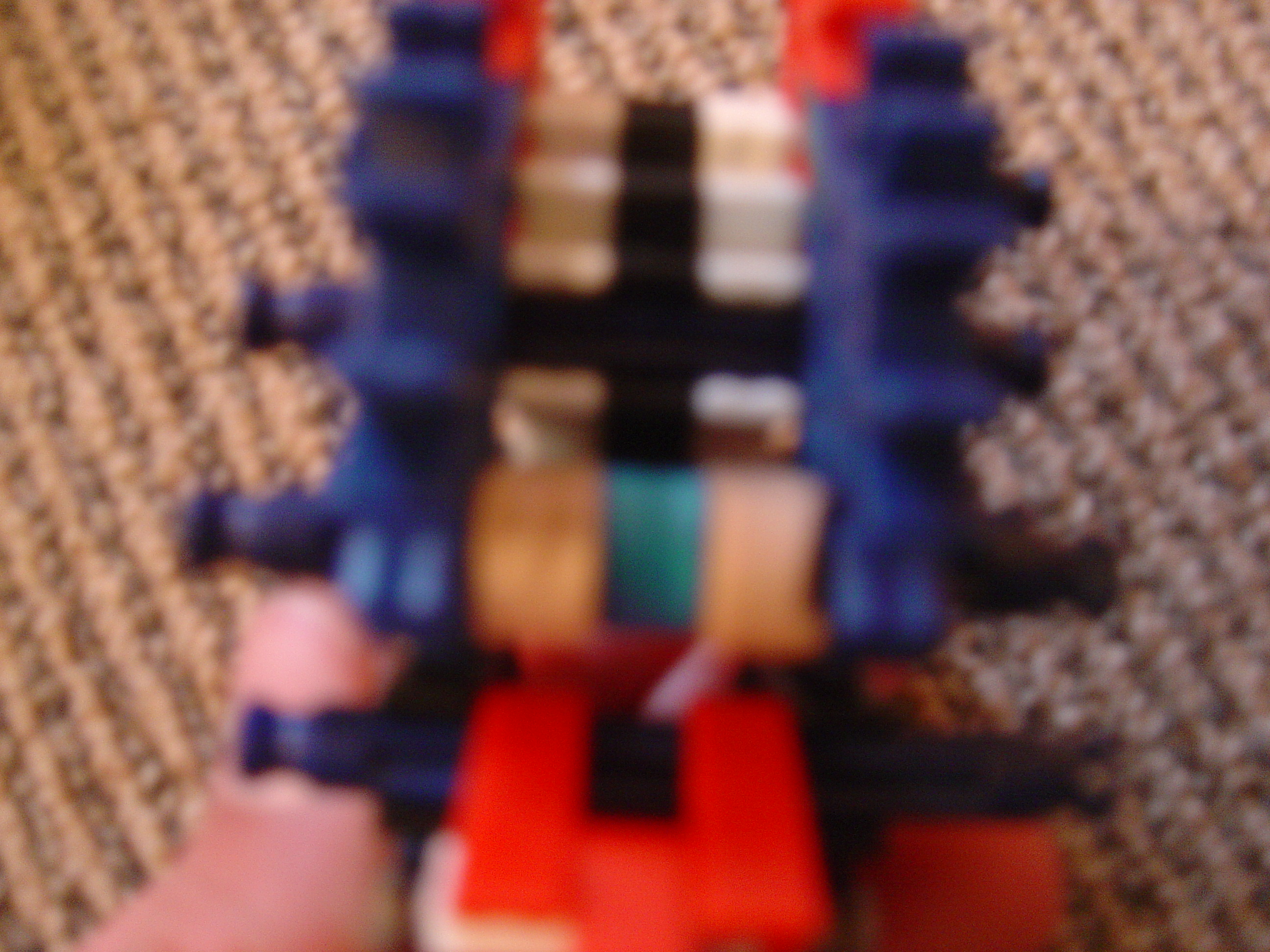DSC02530.JPG
