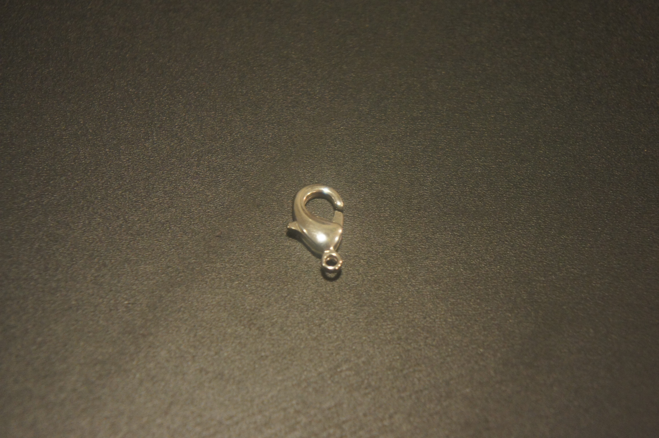 DSC02597.JPG