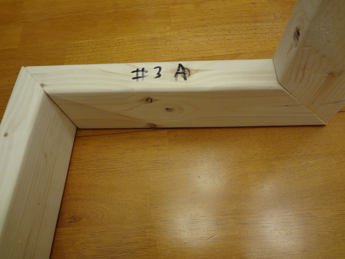 DSC02647.JPG