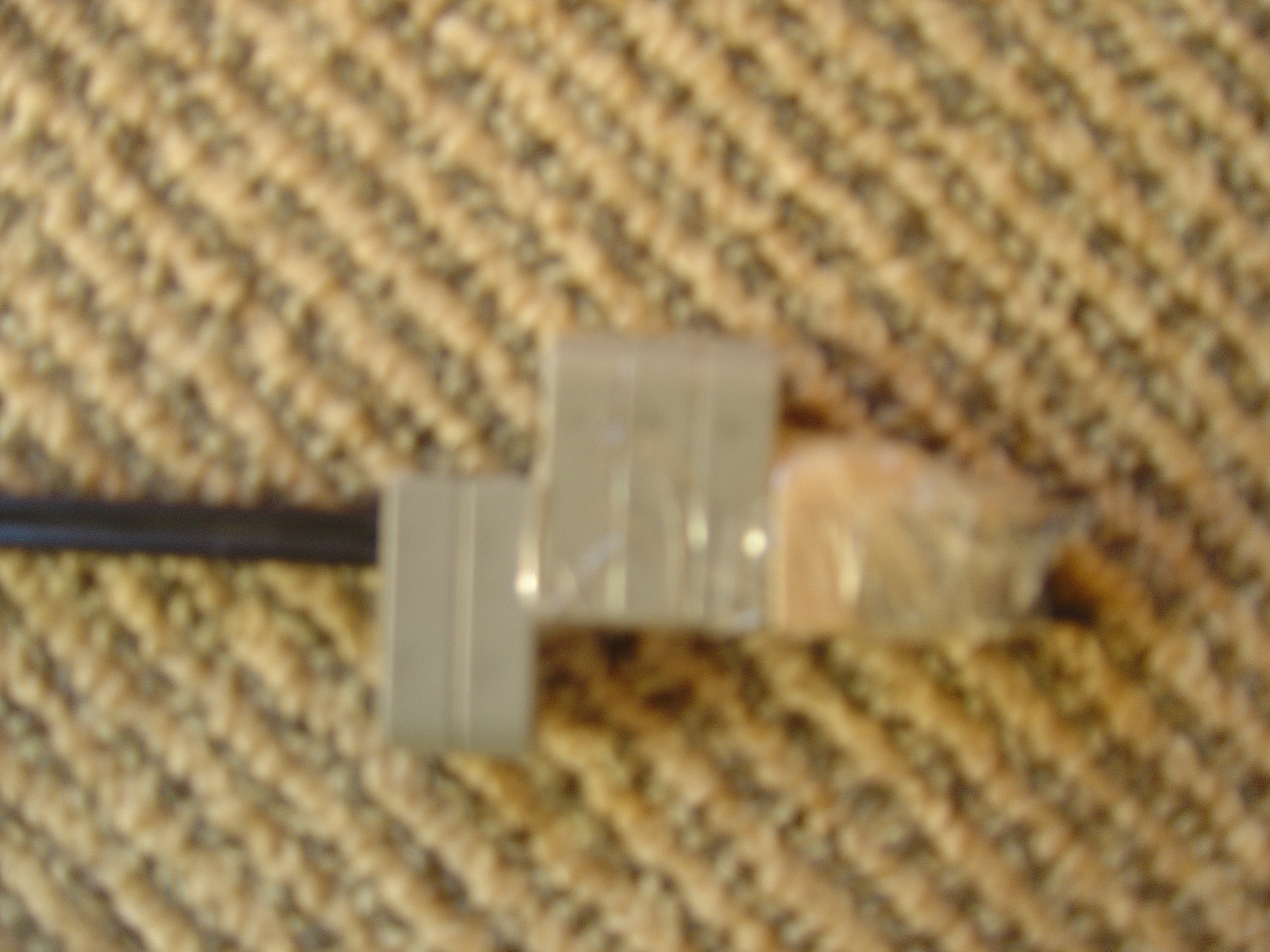 DSC02740.JPG