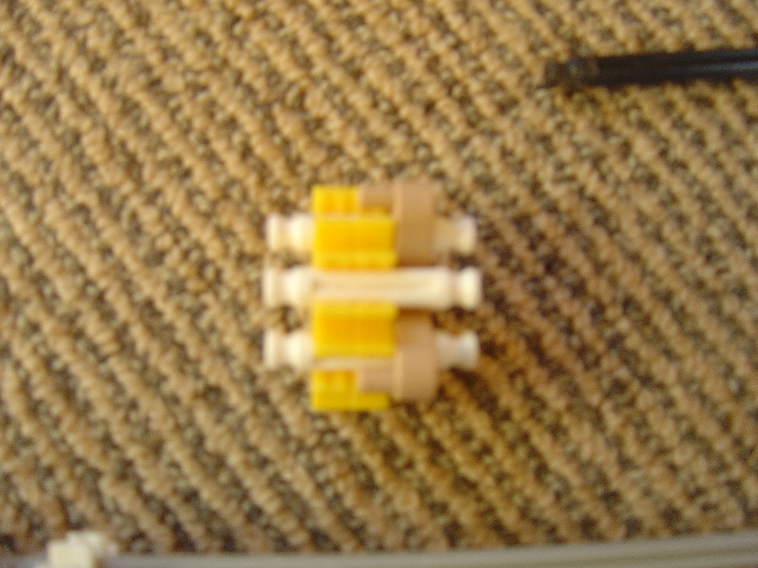 DSC02746.JPG