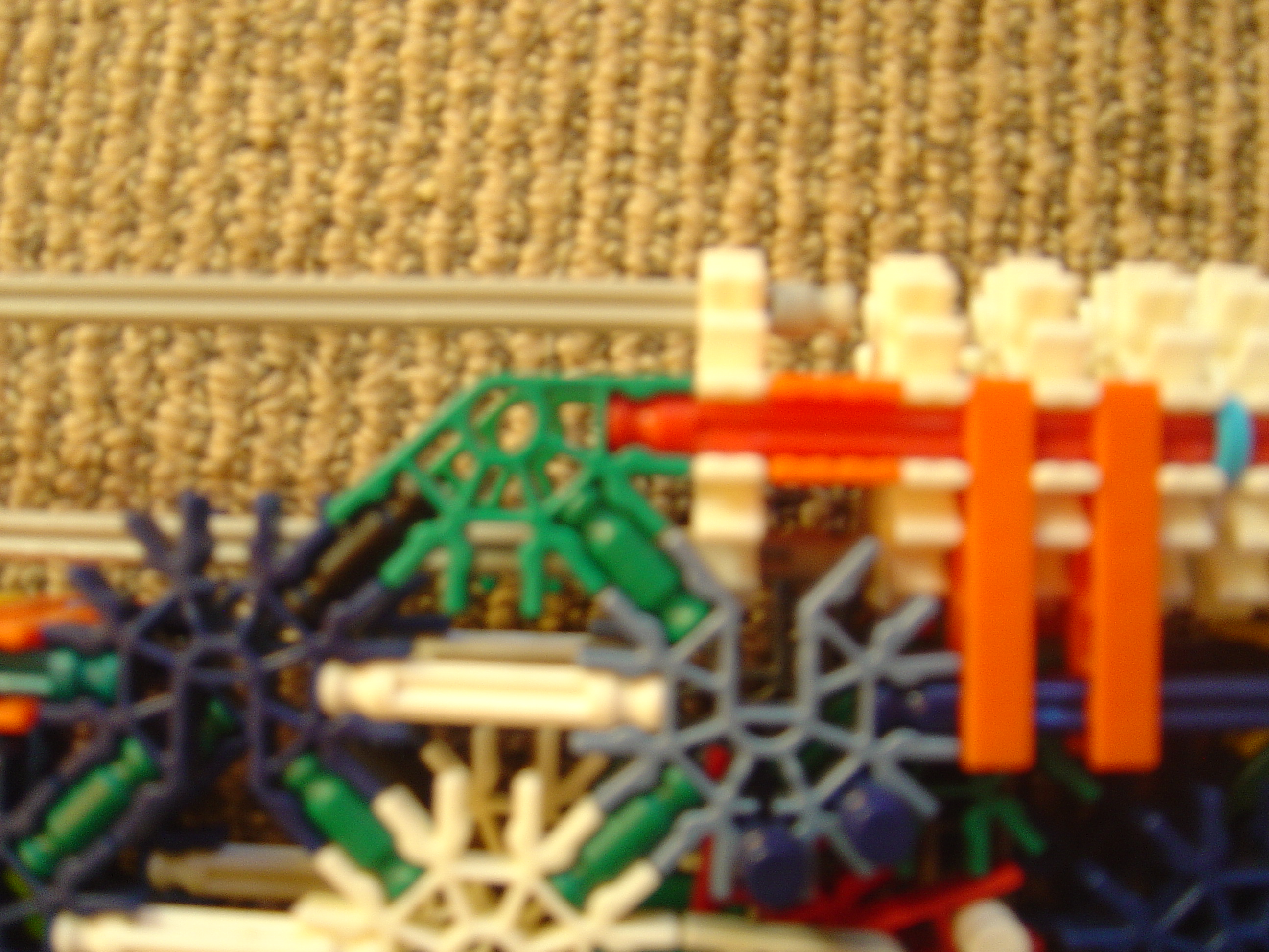 DSC02781.JPG