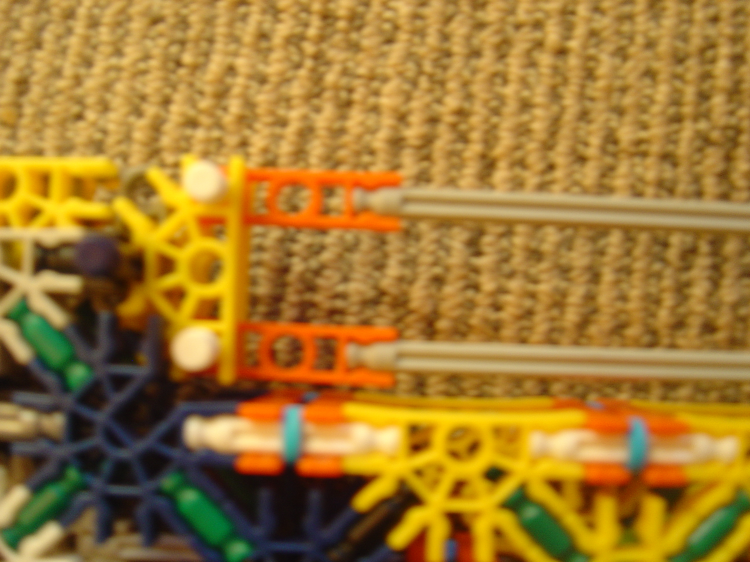 DSC02783.JPG