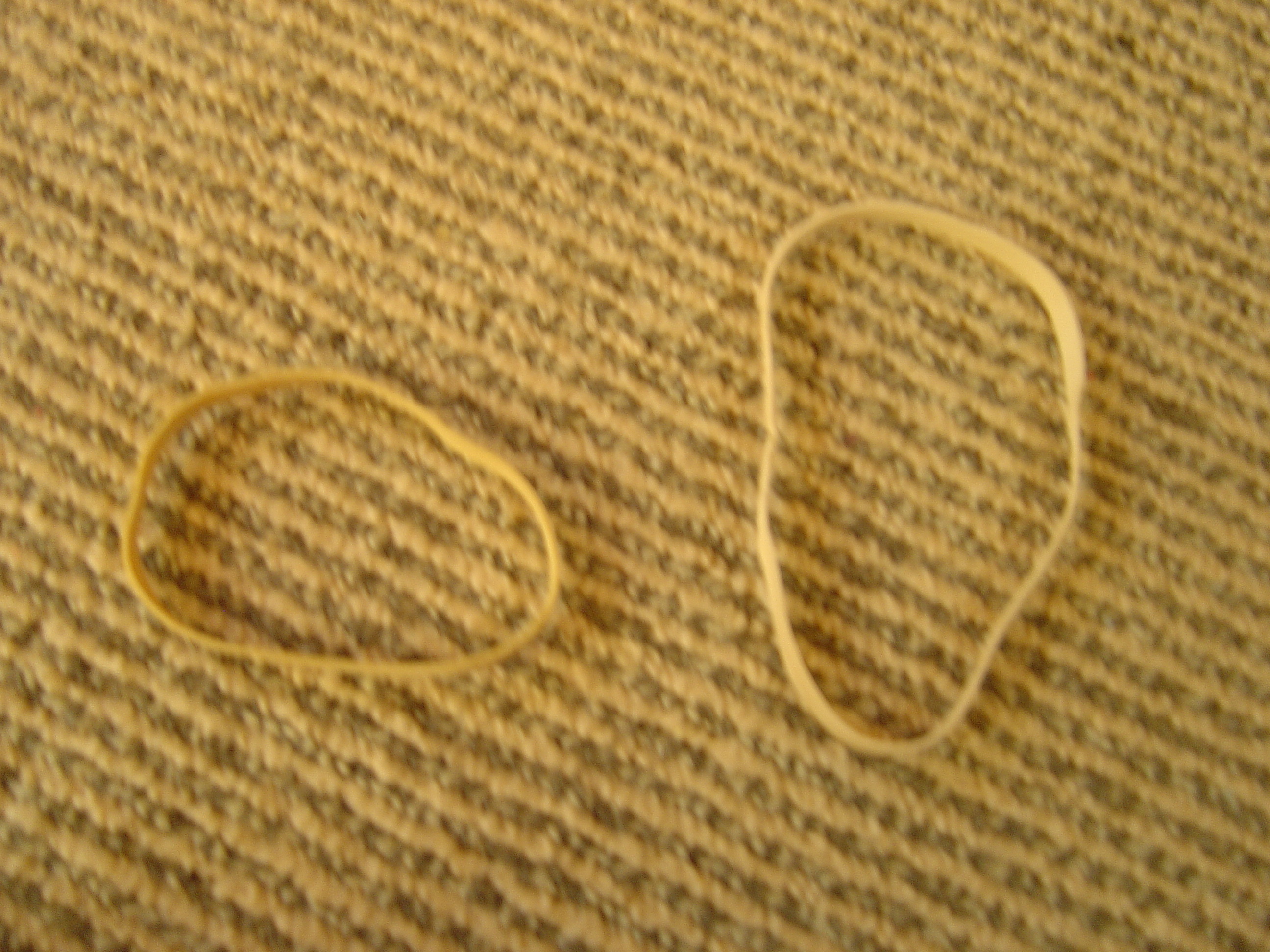 DSC02796.JPG