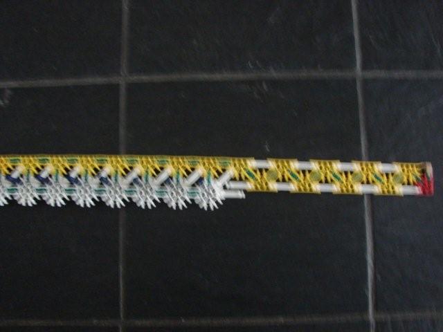DSC02843.jpg