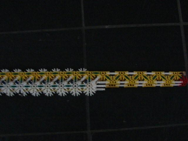 DSC02858.jpg