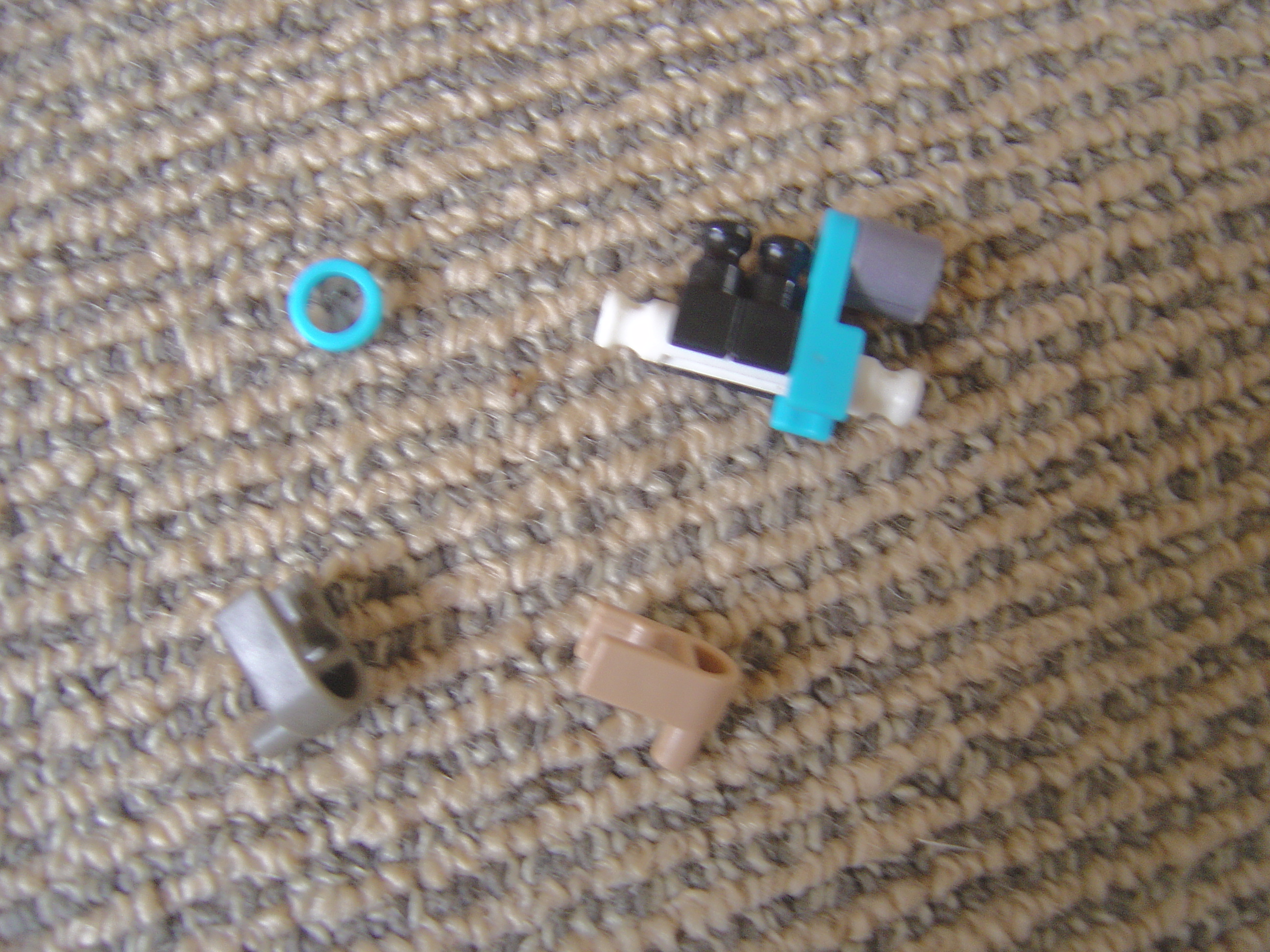 DSC02936.JPG