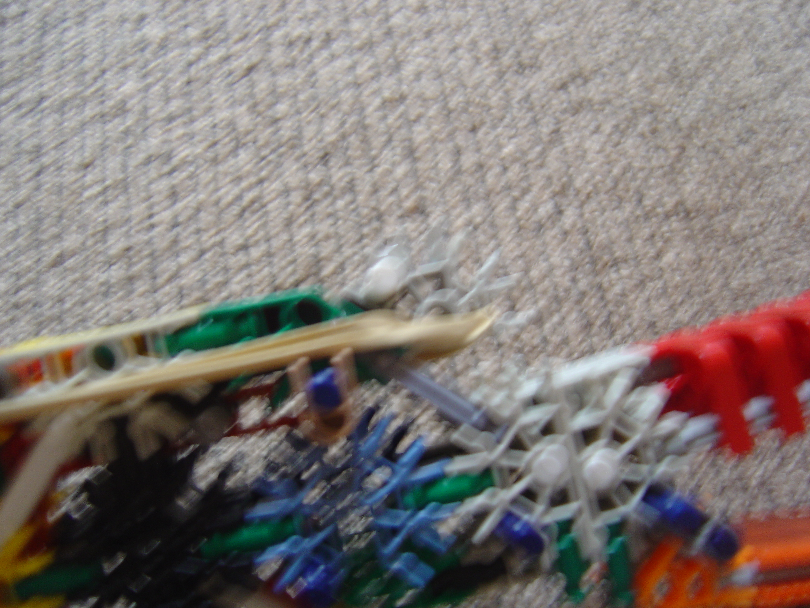 DSC03053.JPG