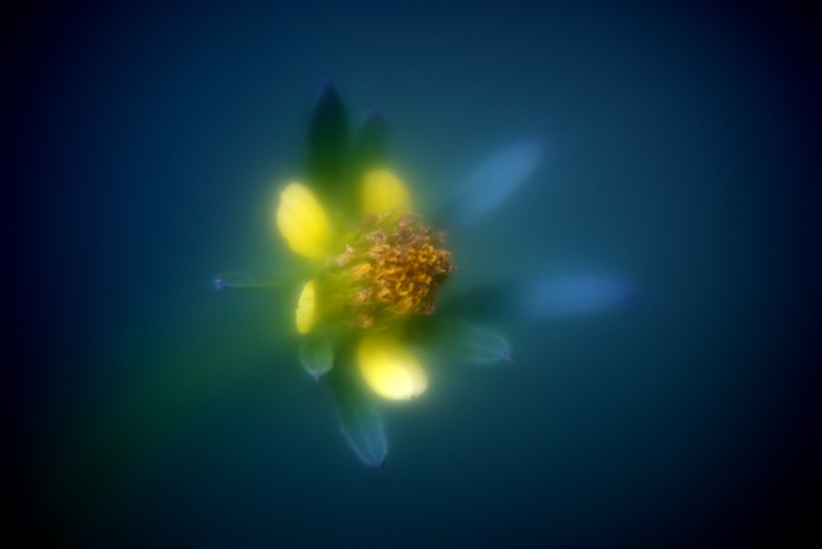 DSC03742sm.JPG